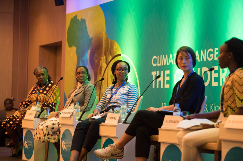 Five panelists interact at the The Next Einstein Forum Official Side-Event on Climate Change and Gender 